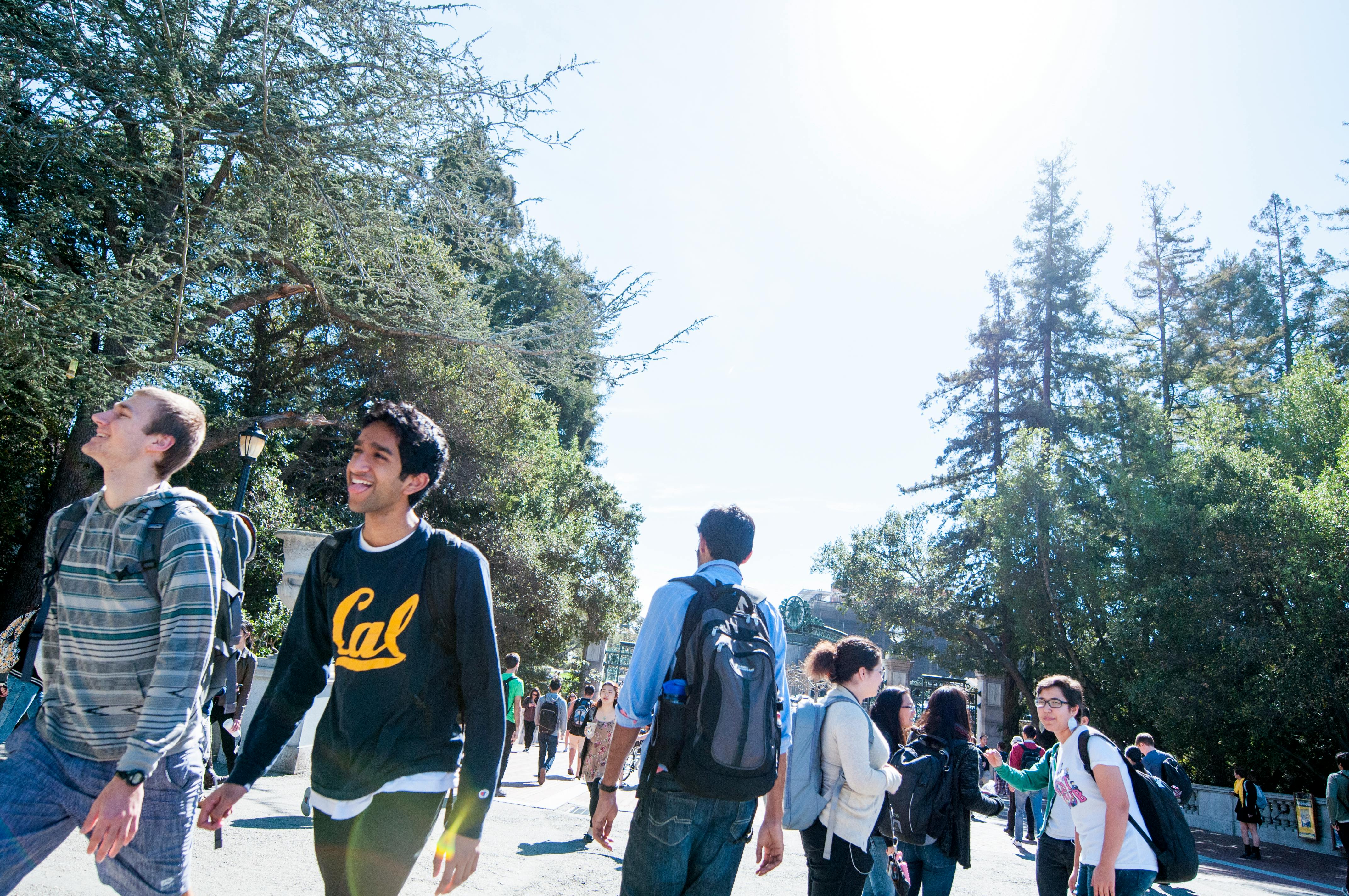 uc berkeley english phd students